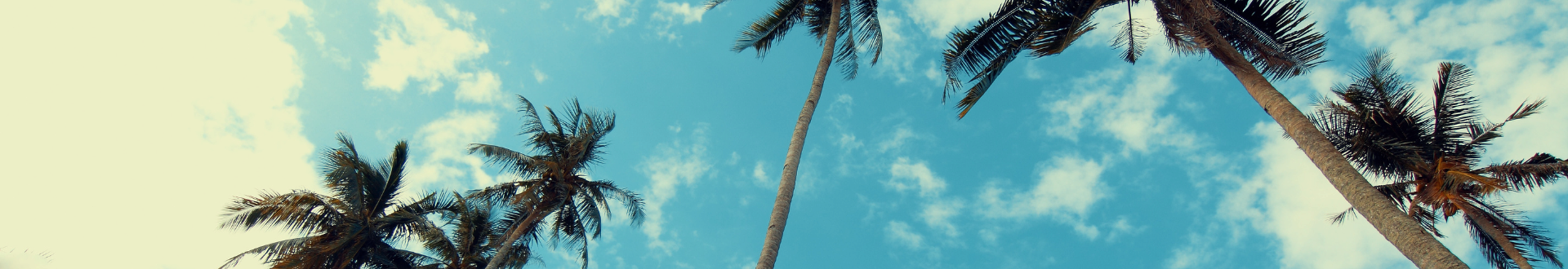 baner lato 