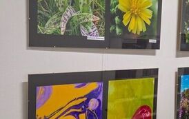 593293722_872740381922578_3134305142539448421_n