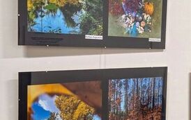 592275346_872740411922575_6858234362222089266_n