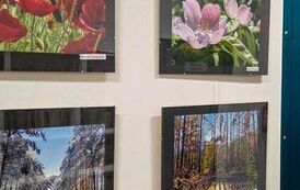 592211421_872740281922588_7636138058766742887_n