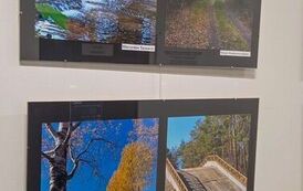 590759476_872740468589236_5066003905403057154_n