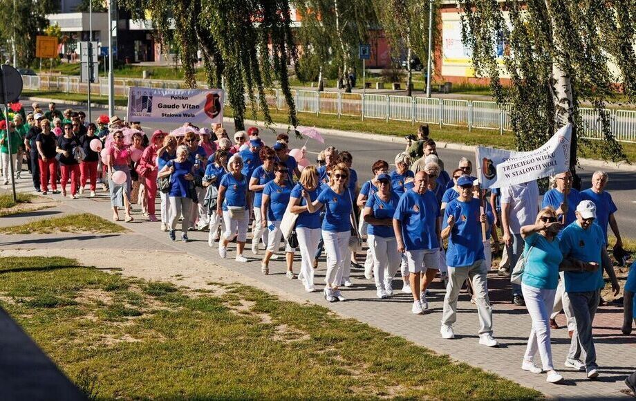 Zdjęcie do Kolorowy przemarsz i Koncert  17.06.2026 | Dzień 3 - Stalowowolskie...