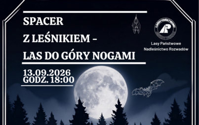 Zdjęcie do Spacer z leśnikiem &ndash; &bdquo;Las do g&oacute;ry nogami&rdquo;