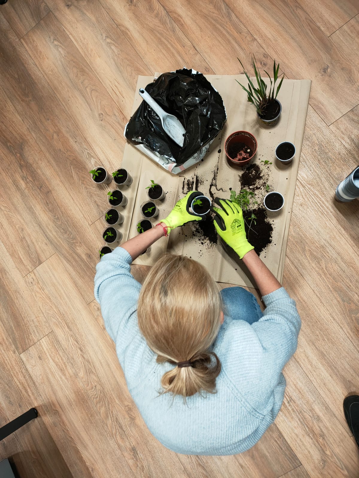 434644986_337562995963845_5285571520729152588_n